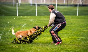 Mistrzostwa Świata w Mondioringu 2019